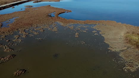 beautiful lagoon patterns with brown dry grass on clay and shallow water of calm surface, aerial view