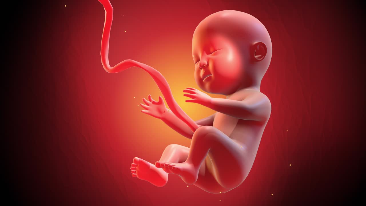 Animazione CG 3D di feto umano. Dorme e sogna.