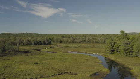 beautiful lush green aerial scenic view of union river in eastern maine