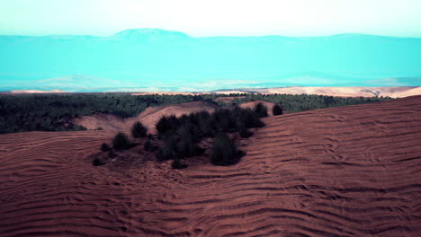 scenic desert steppe landscape with mountains