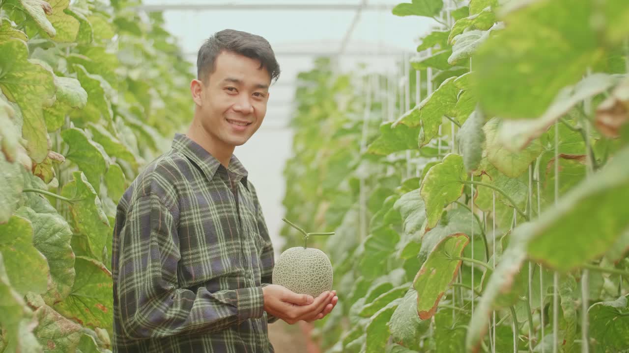 Asian Farmer Holding Melon And Smiles To Camera In Green House Of Melon Farm
