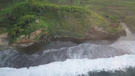 aerial drone view of cliff overgrown by tress border with the sea