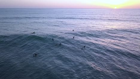 ¿Es-Peligroso-Surfear-En-América-Debido-A-Los-Tiburones?