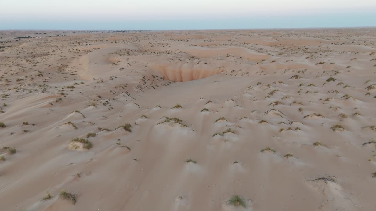 Drone aerial footage of Sahara desert in Mauritania. Sandy dunes with scattered vegetation showing survival of nature in arid climate and remote wilderness