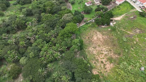 Above-the-Arcadian-Idyll:-Aerial-Perspectives-of-Rural-Beauty