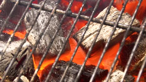 carbón quemado en una parrilla