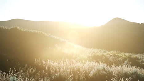 Sunset-over-the-Valley-Fields