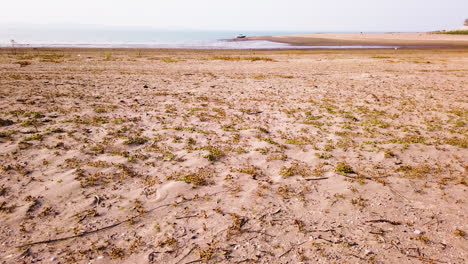 Flug-über-Die-Küste-Mit-Pflanzen,-Die-An-Einem-Sonnigen-Sommertag-Im-Sand-Wachsen