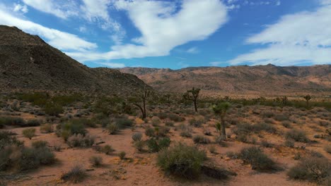 Joshua-Tree-National-Park