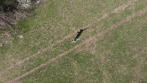 fitness model doing exercise in park. female exercising in woodlands. outdoor cardio training. 4k aerial drone shot from above. workout and star jumps.