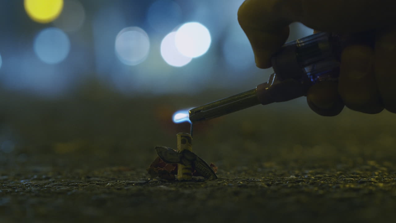 Firecrackers at the festival