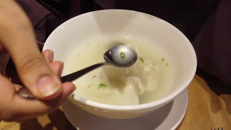 bowl of soup with dumplings