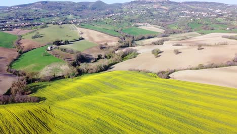 paisaje aéreo de la plantación agrícola de colza orgánica natural, campo italiano de la colina