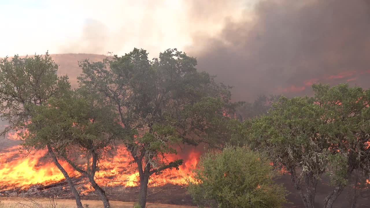 Un incendio boschivo brucia sulle colline della California meridionale.