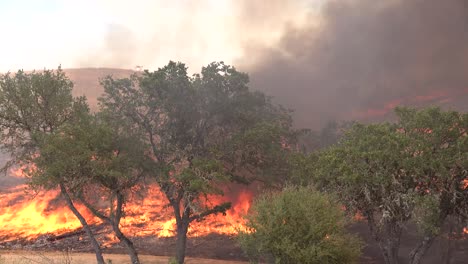 Ein-Buschfeuer-Brennt-In-Den-Hügeln-Südkaliforniens-3