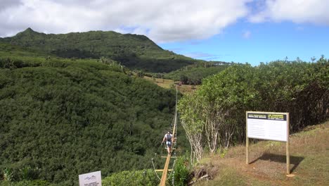 Nepalese-Bridge-in-Mauritius-