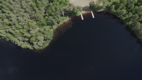 Drone-top-down-view-above-lake-in-the-woods