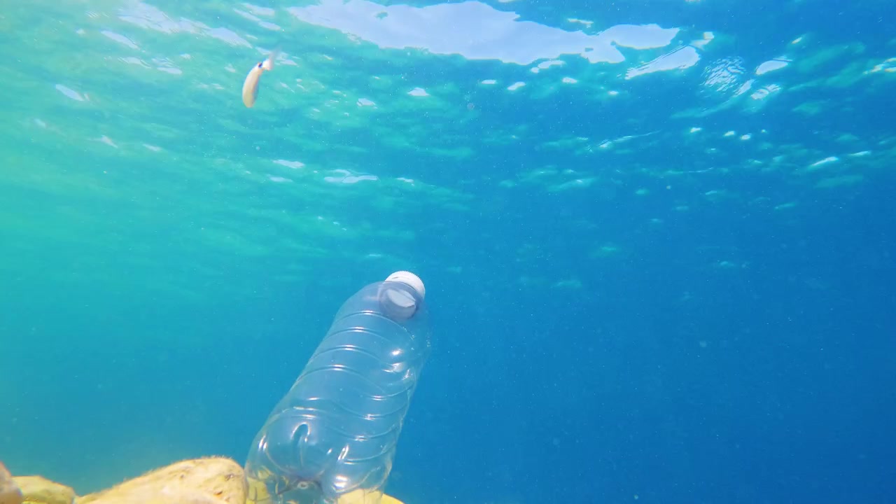 Una bottiglia di plastica giace sul fondale marino. Pesci nuotano lì vicino in un mare blu e limpido. Il paesaggio sottomarino mostra la vita marina tra i detriti.
