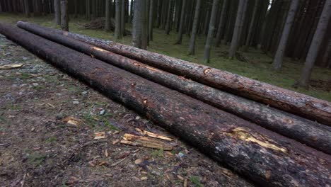 close up of stacked logs in a heap, zooming in, bright real-time shot, texture background