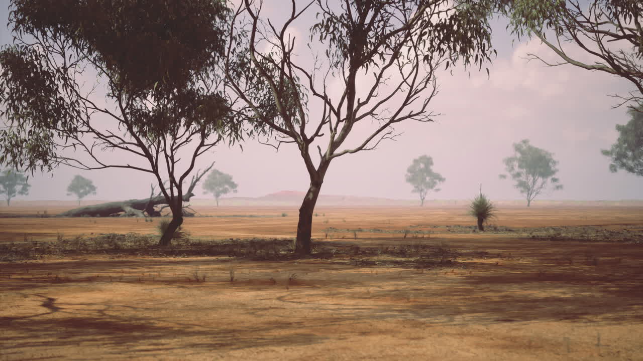 Vasta paisagem seca com árvores esparsas e colinas distantes sob um céu nublado