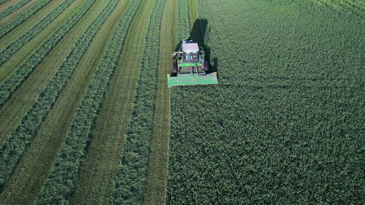 en door county, wisconsin, un agricultor en un tractor john deere, corta su campo de alfalfa a finales de agosto-9