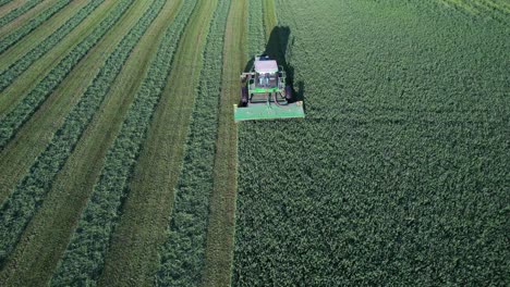 In-Door-County,-WI,-a-farmer-on-a-John-Deere-tractor,-cuts-his-alfalfa-field-in-late-August-9