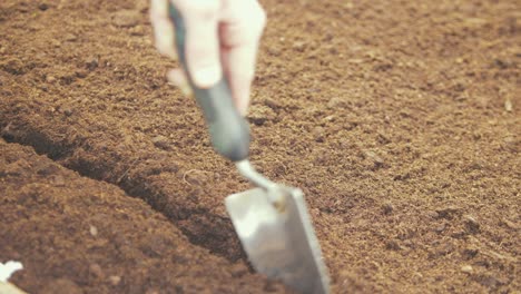 Haciendo-Fila-En-Suelo-De-Compost-Con-Paleta-Para-Sembrar-Semillas-De-Cerca