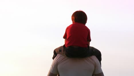 father with his son on his shoulders