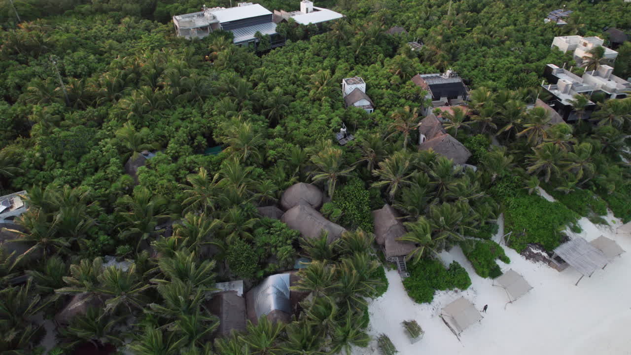 tomada aérea de arriba hacia abajo de la órbita de cabañas y chozas rodeadas de palmeras frente a una playa de arena blanca con aguas cristalinas en tulum, méxico