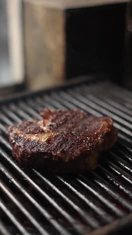 steak grilling on barbecue grill