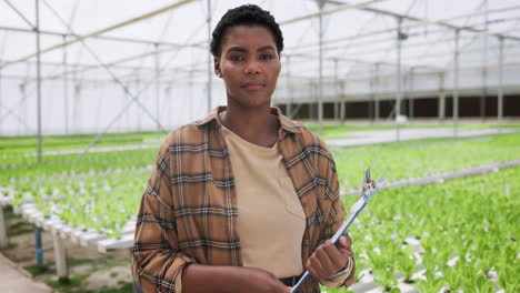 Plants,-greenhouse-and-face-of-young-woman-doing