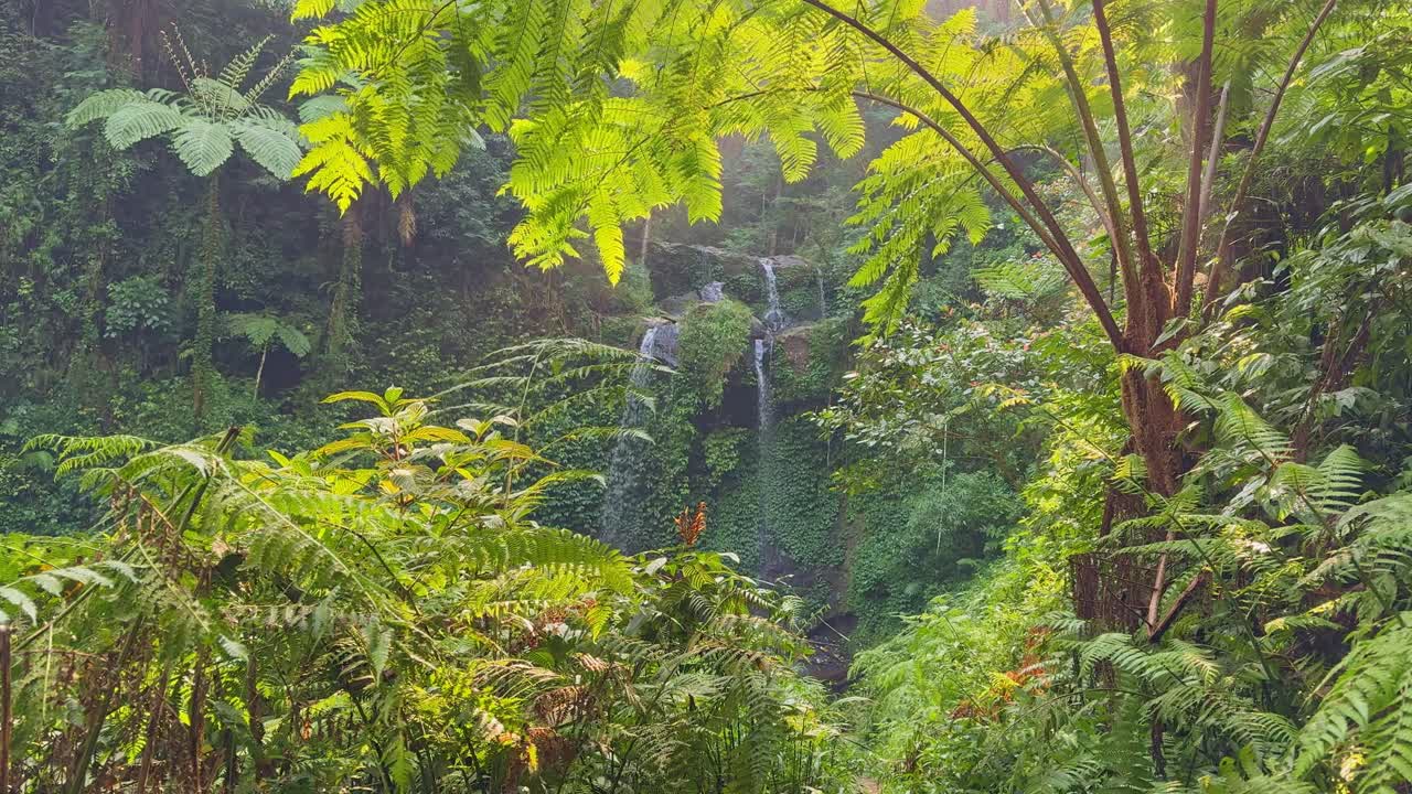 Majestic tropical waterfall hidden deep within dense jungle vegetation, creating a serene atmosphere