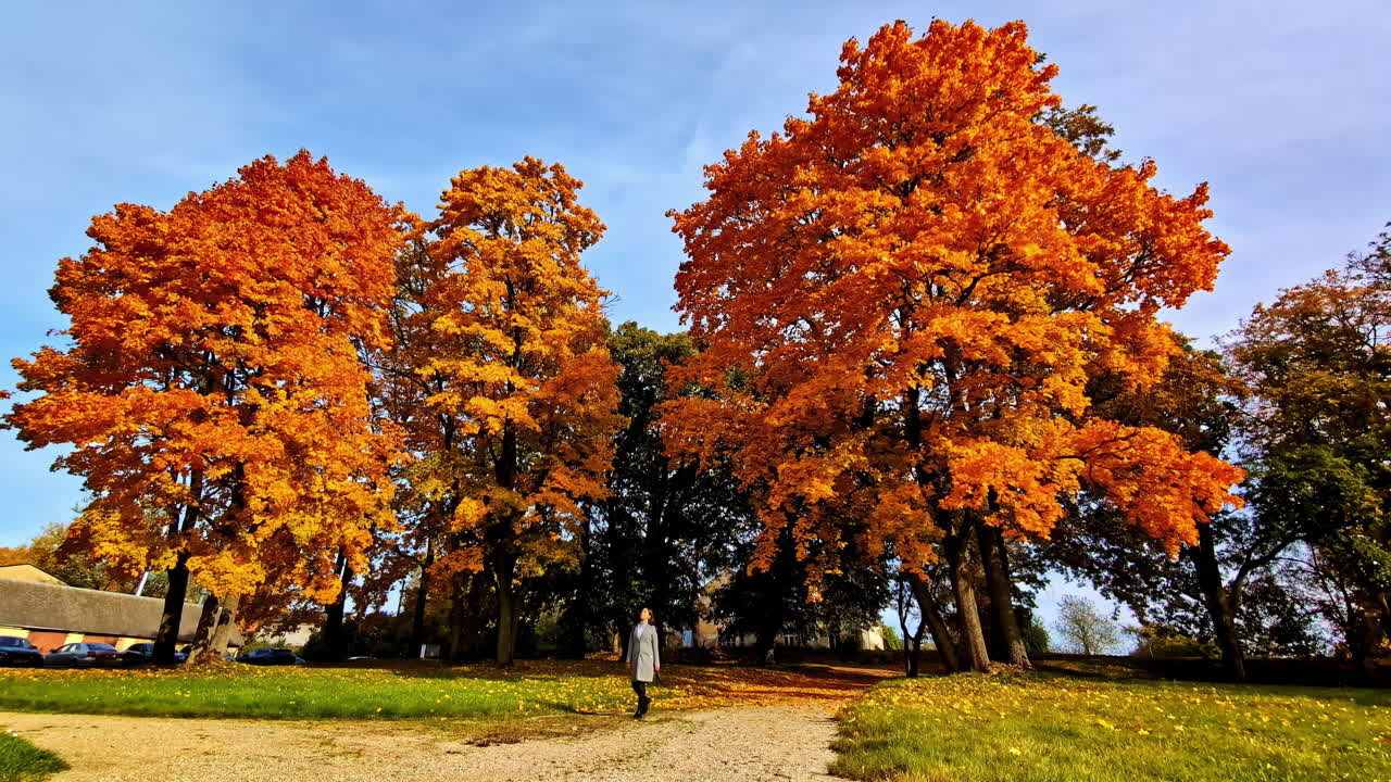 Woman walking outdoor park in autumn fall season Lielvarde, Latvia vibrant orange foliage