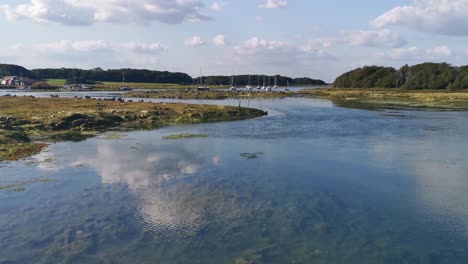 marisma soleada en la isla blanca, inglaterra, muy temprano en la mañana, filmado en video con la cámara réflex digital sony a7siii y la toma utilizada fue una toma fija con trípode