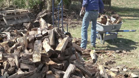 A man moves wood from a pile on his lawn into a wheelbarrow