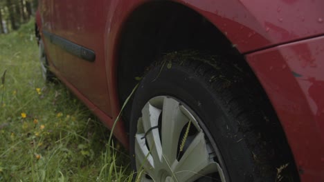 swarm of flies flying around a parked red car slomo