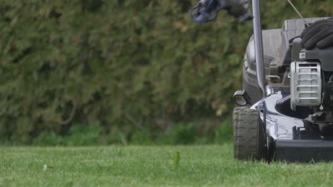 man cleans lawn mower and adjusts the cutting height