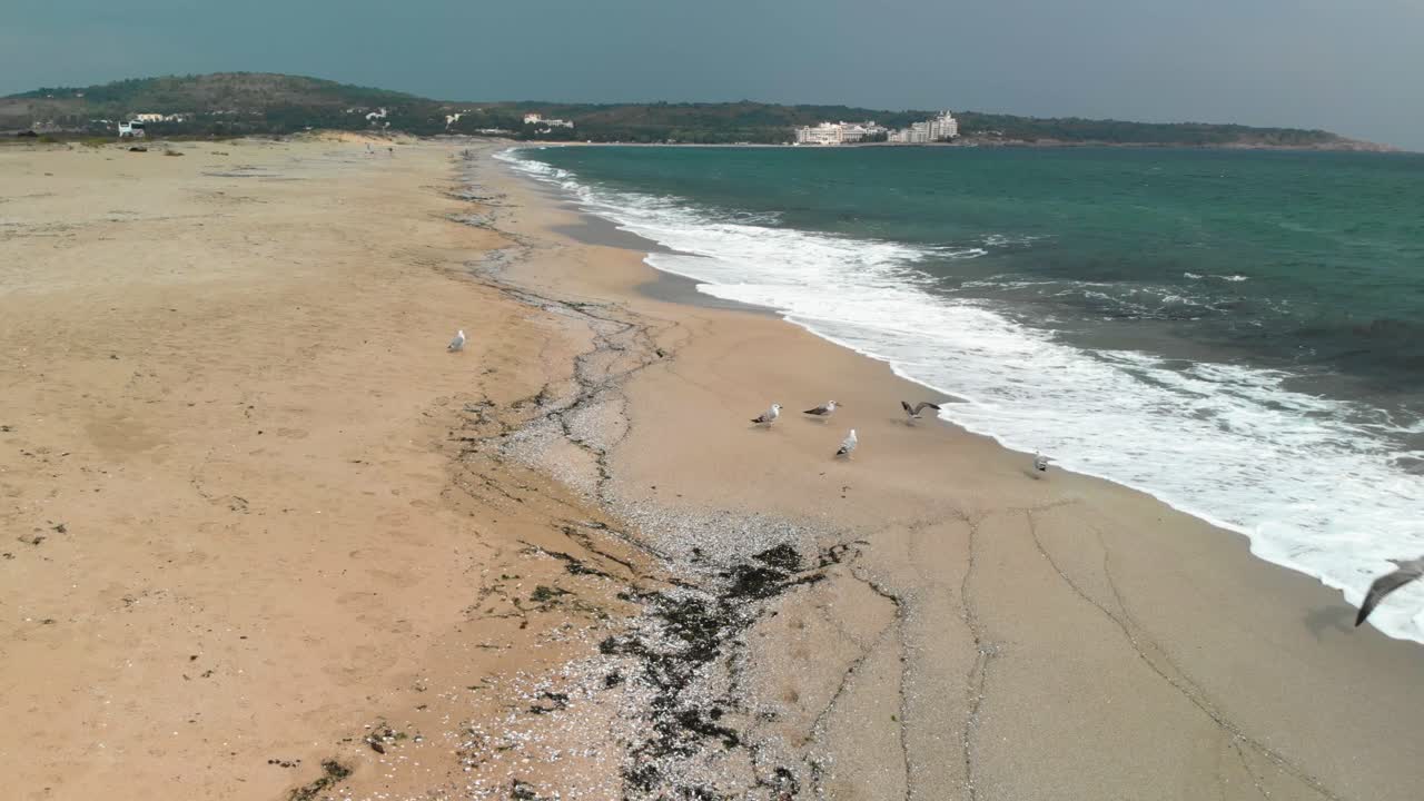 불가리아 소조폴의 해변에 상륙하는 갈매기 주변의 드론 시차 영상