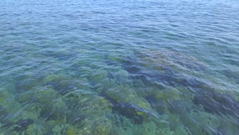 tropical exotic sea bed, clear transparent ocean water in summer