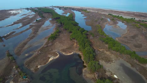 wetland area untouched by humans with saltwater shallows and tree bushes where wild birds nest near the coast in albania