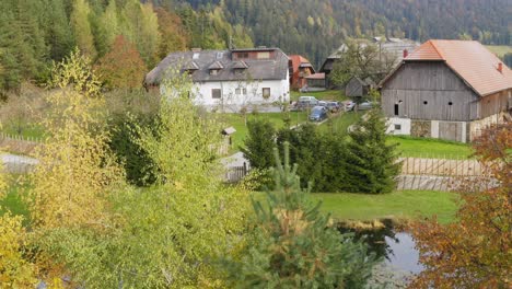 slow-motion of houses and cabin surrounded by forest