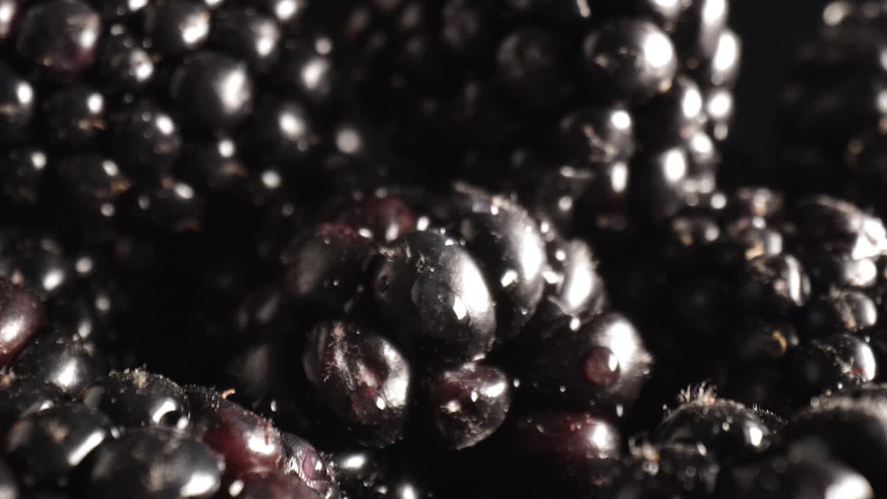 사라지는 고추의 매크로 비디오를 확대