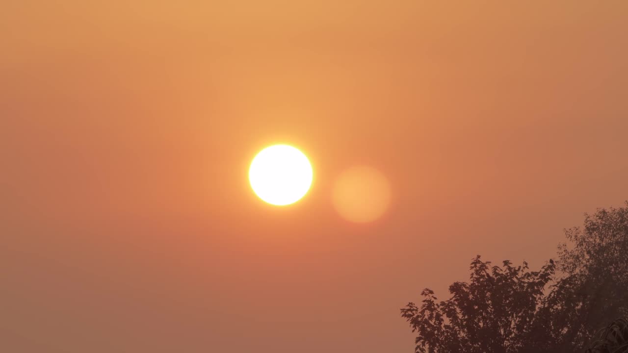 Sunrise Big Orange Sun Hazey Clear Sky Gum Trees Timelapse Australia Victoria Gippsland Maffra