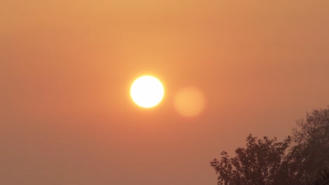 Sonnenaufgang,-Große-Orange-Sonne,-Dunstig,-Klarer-Himmel,-Gummibäume,-Zeitraffer,-Australien,-Victoria,-Gippsland,-Maffra