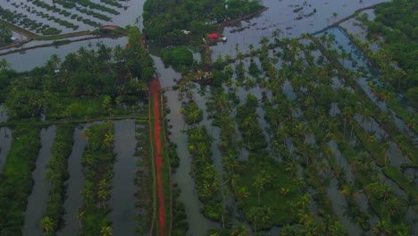 Hermosa-Vista-Del-Paisaje-En-La-Isla-Monroe,-Kollam,-Kerala,-India