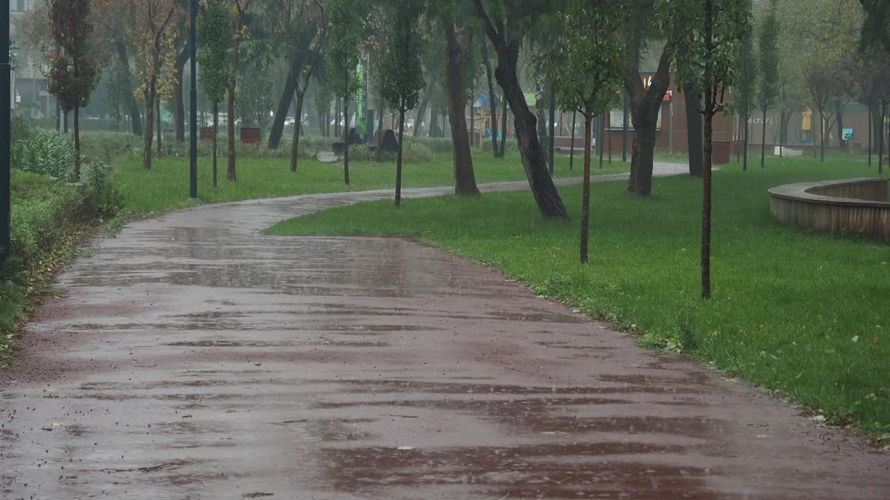 día lluvioso en un parque de la ciudad