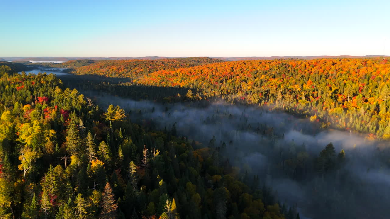 Aerial view of autumn forest and mountains in vivid colors with morning fog in Mauricie, Quebec, Canada. Soft sunlight illuminates the colorful foliage over peaceful wilderness