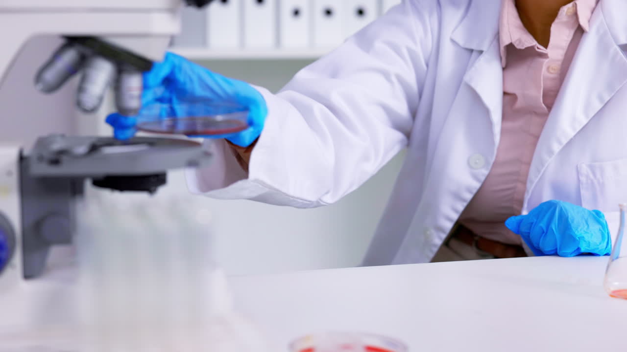 microscopio, investigación y científico con análisis