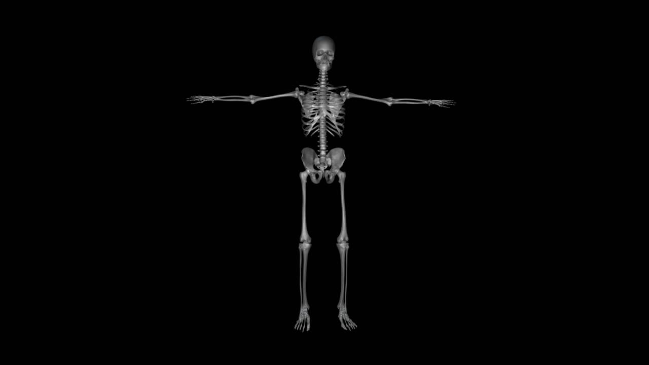 anatomía del sistema esquelético en el cuerpo humano en fondo negro