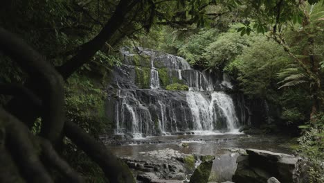catarata entre un bosque en un día soleado en las cataratas de purakaunui, catlins, nueva zelanda